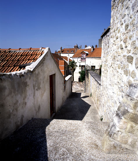 Vue de la rue de la Côte Penon. On aperçoit un palmier.