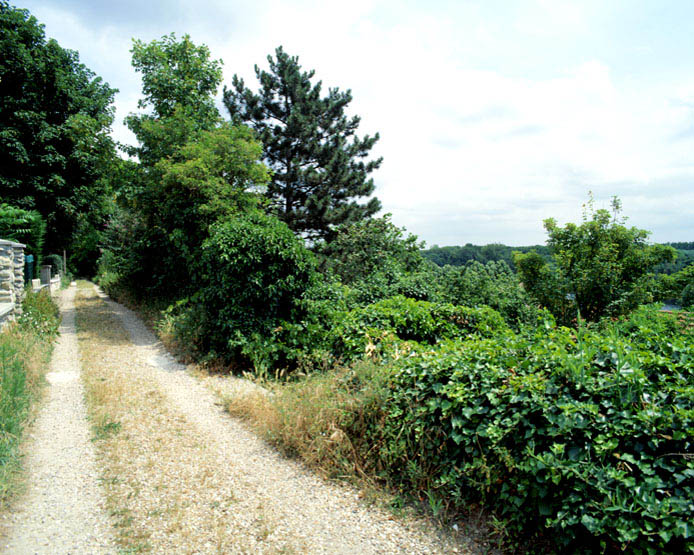 Vue d'ensemble de la ruelle du Gouffé.