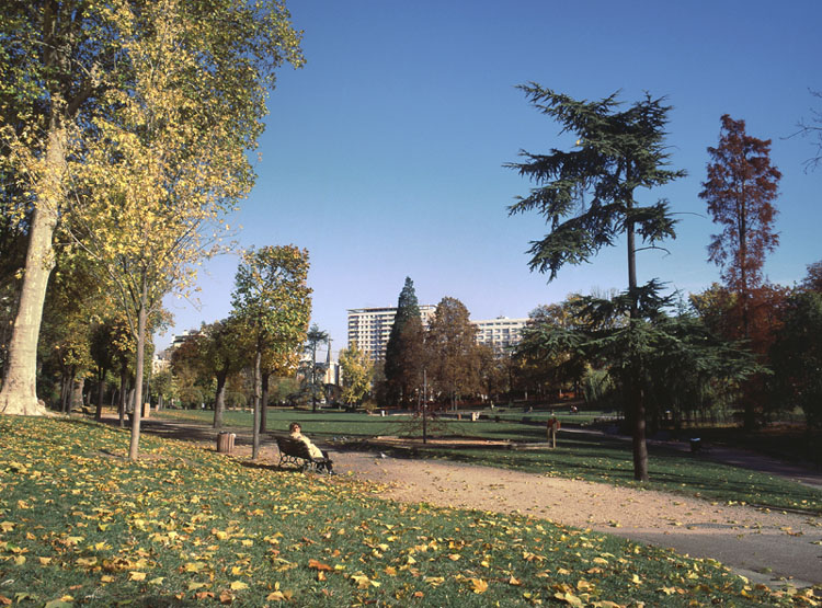 Vue de la prairie au centre du parc.