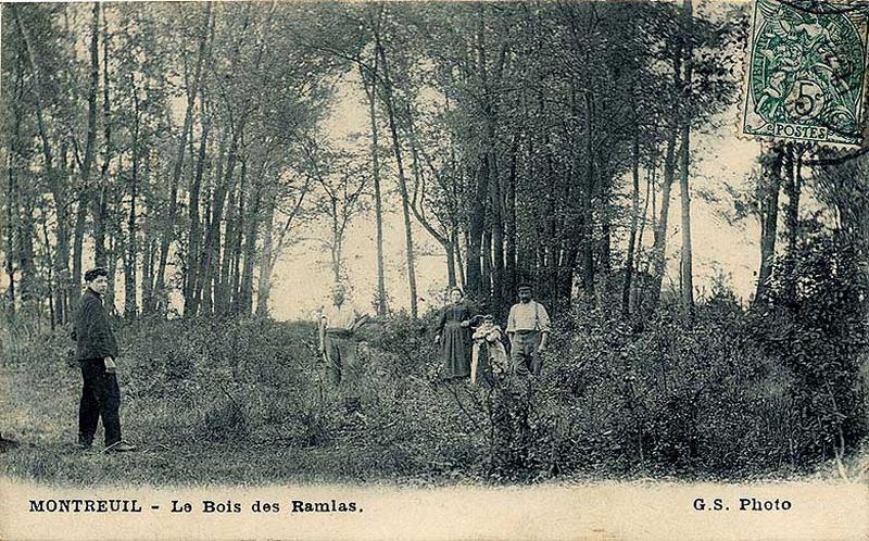 Le bois des Ramlas.