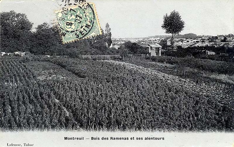 Montreuil. Bois des Ramenas et ses alentours.