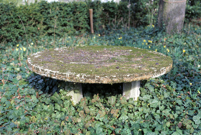 Table en ciment armé dans le jardin.