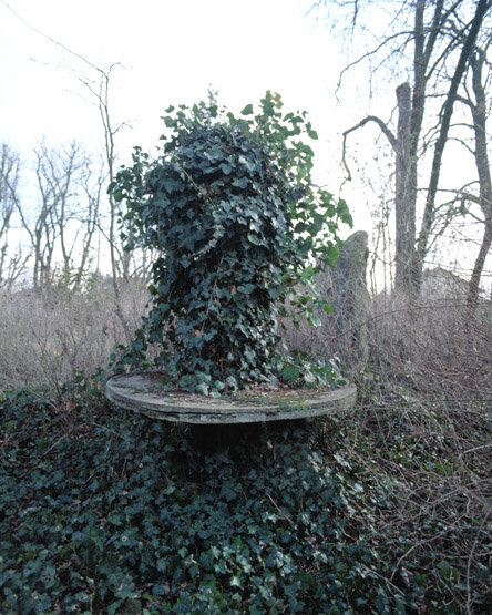 Table en ciment armé dans le jardin.