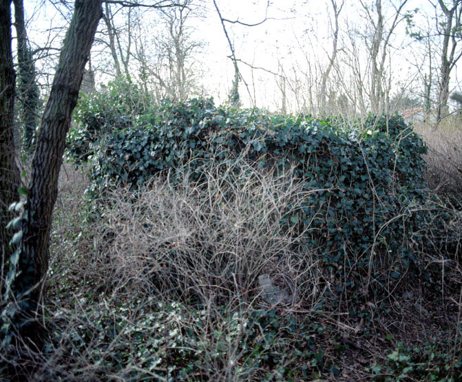 Vue extérieure de la fausse grotte.