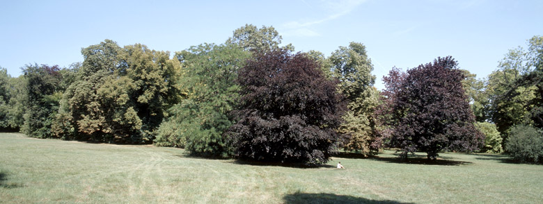 Vue du parc vers la Marne.