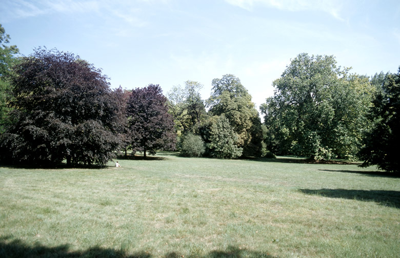 Vue du parc vers la Marne.