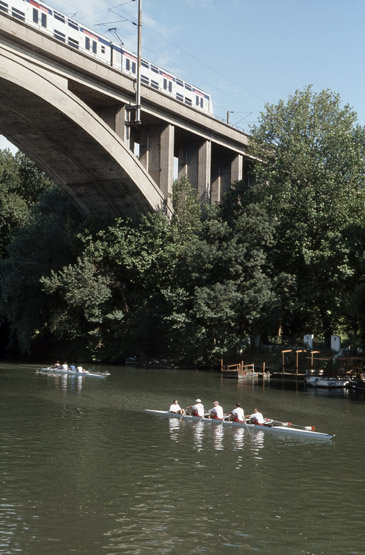 Vue depuis la rive de Nogent vers la pile du viaduc sur l'ile des Loups durant une compétation d'aviron.