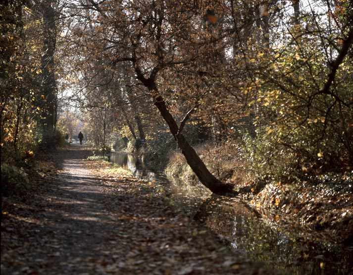 Vue près de la route de la Ménagerie, côté Nogent-sur-Marne.