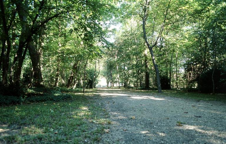 La partie boisée du parc : vue d'une allée (dans la partie sud-ouest du domaine de la préfecture).