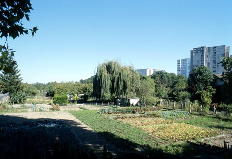Vue d'ensemble : les jardins au pied des tours de la ZUP de l'Almont.