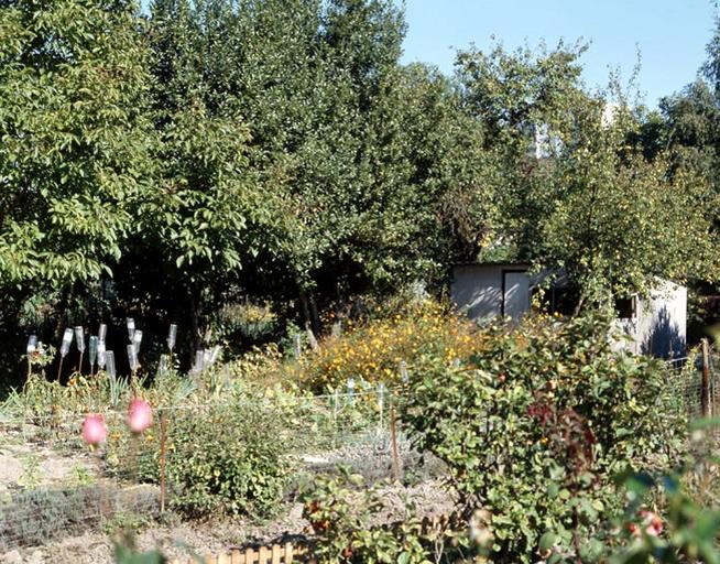 Un jardin avec son cabanon.