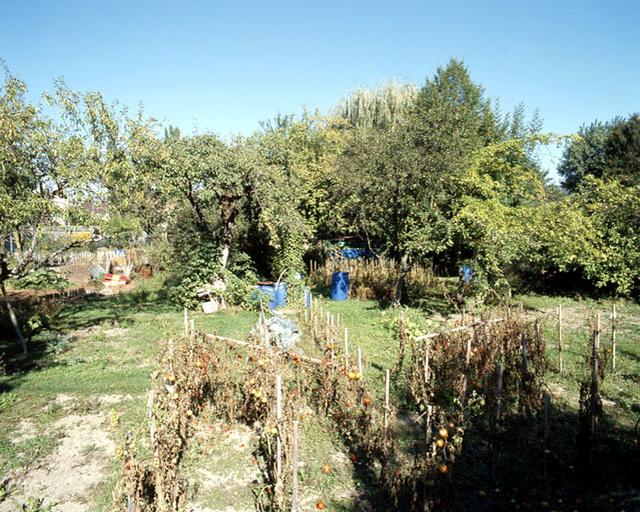 Vue d'un jardin.