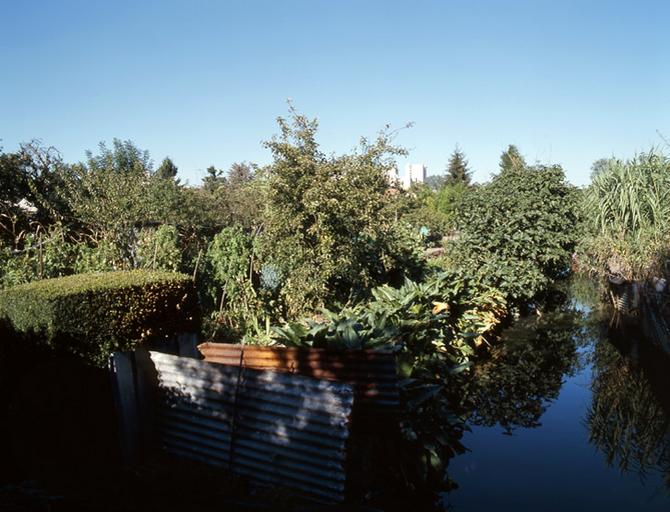Un bras de l'Almont.