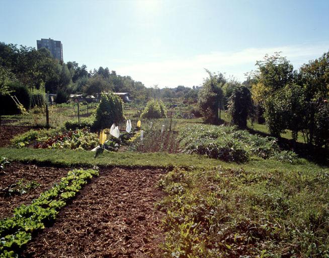 Vue d'ensemble, depuis l'est.