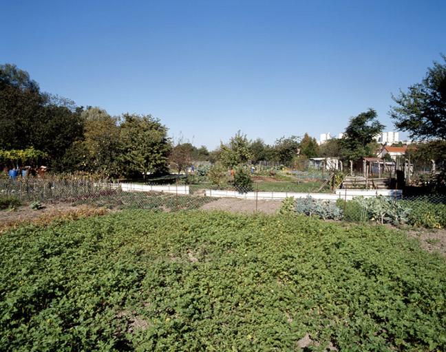 Vue d'ensemble des jardins.