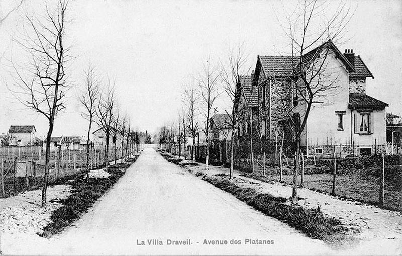 L'avenue des Platanes.