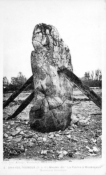 Le menhir de la 'Pierre à Mousseau' (entre 4000 et 2000 av. J.-C.), classé Monument historique en 1887 ; il se trouve dans la plaine alluviale de la Seine, à la limite des communes de Draveil et de Vigneux.