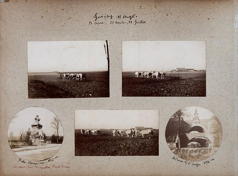 Vue des labours exécutés vers 1900 sur les terres de la ferme de Champagne sur le Plateau.