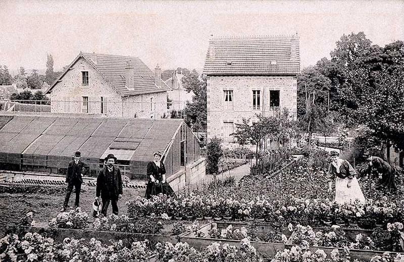 Les champs de cultures florales (de reines marguerites) du grainetier Levêque établies en bordure de l'Orge, 8-10 rue Montenard.