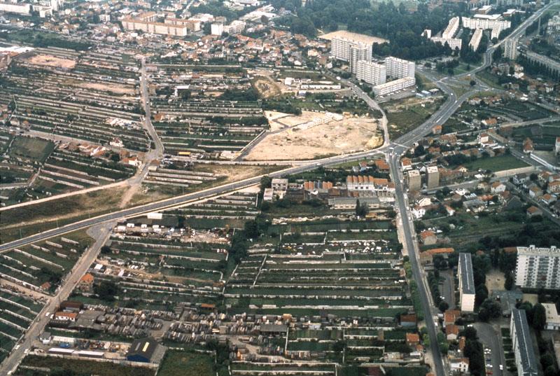 Vue aérienne de Montreuil : murs à pêches