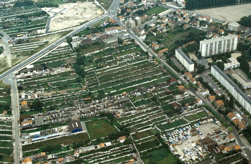 Vue aérienne de Montreuil : murs à pêches, octobre 2000