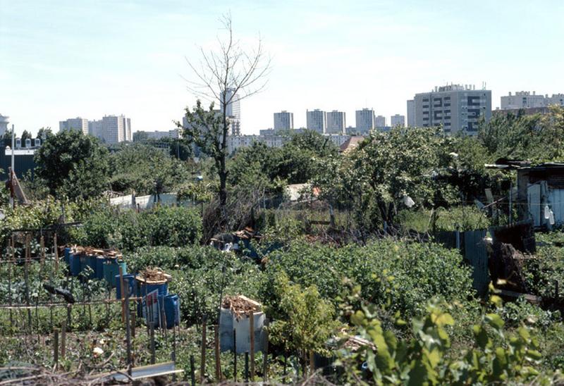 Vue des derniers jardins sauvages sur le Plateau à l'emplacement de l'ancien bidonville. A l'arrière plan, les grands ensembles des Mordacs et de Bois-l'Abbé.