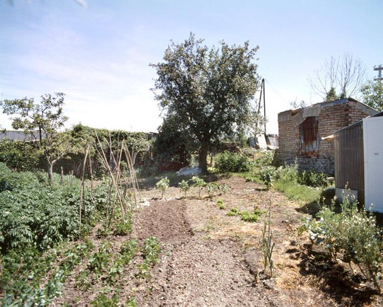 Vue des derniers jardins sauvages sur le Plateau à l'emplacement de l'ancien bidonville.