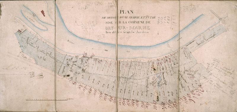 Plan de division d'une prairie et futaie, lieu-dit Les Grands-Jardins.