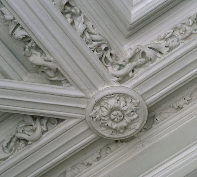 Salon du rez-de-chaussée, donnant sur le lac. Détail du plafond à caissons : feuillages peuplés de lézards et rosace.