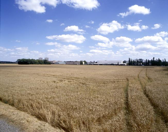 Le plateau nord, aujourd'hui seule zone du territoire communal encore en cultures.