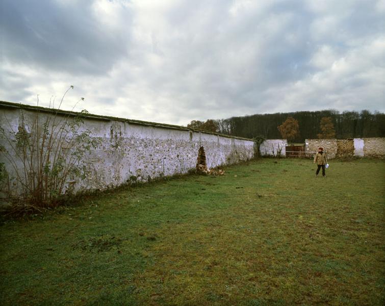 mur à chasselas dans le potager