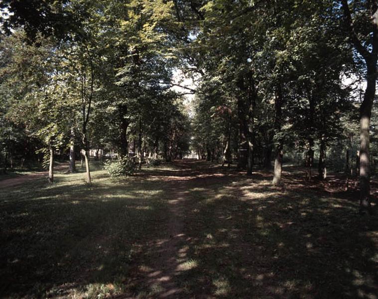 Vue de l'allée reliant la grille du château à la route (actuelle avenue Sully). Elle a été aménagée par le comte de Polignac, propriétaire du château entre 1810 et 1830.