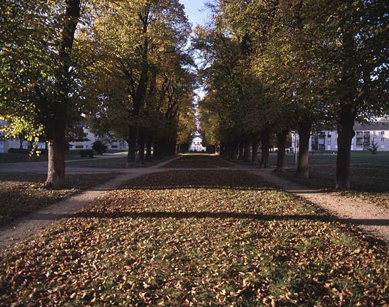 L'allée des Tilleuls, en direction du château de Villiers.