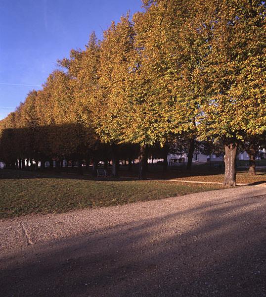 Vue latérale de l'allée des Tilleuls.