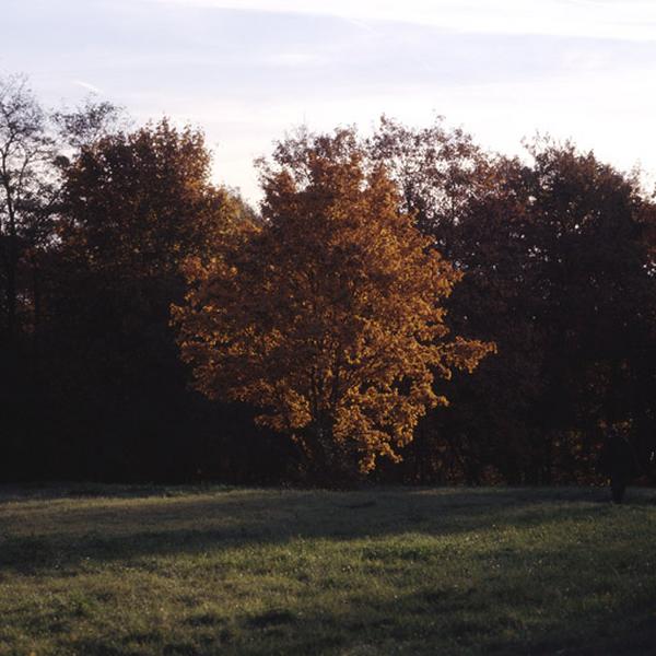 Une vue du parc.