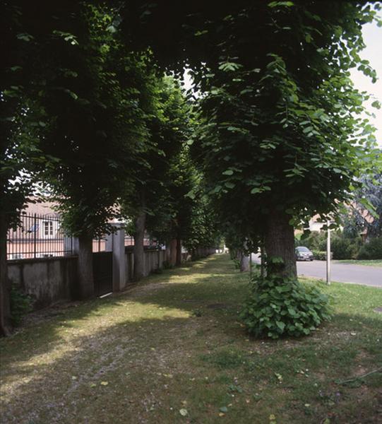 Allée de tilleuls parallèle au château, débouchant sur sa façade arrière, du côté de la chapelle.