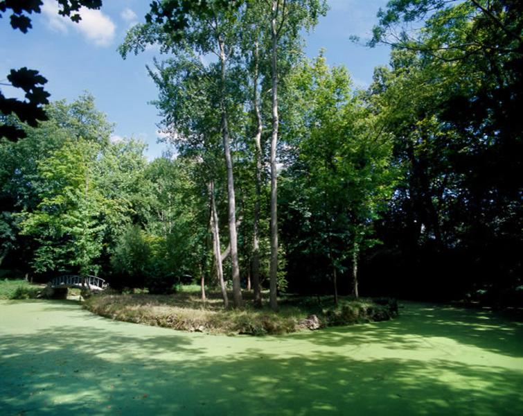 Pièce d'eau agrémentée d'une île, à l'est du château dans le parc.