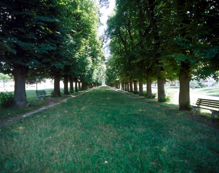 L'allée des Tilleuls ou allée Louis XIV dans l'axe du château.