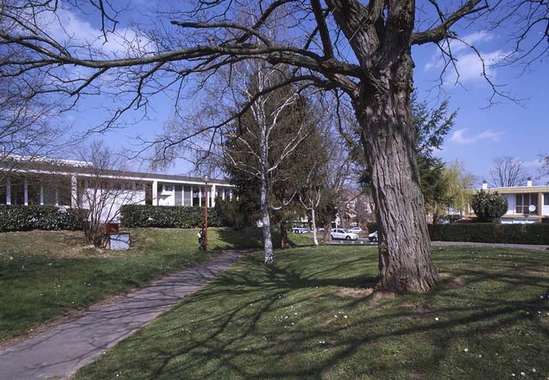 Voirie et aménagement paysager : un sentier piétonnier entre les pelouses plantées d'arbres et bordées de haies de troènes.