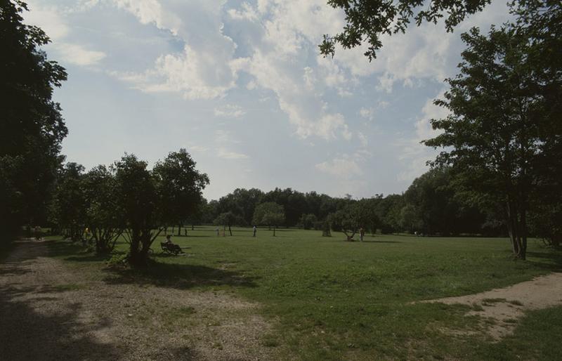 Le parc municipal, à l'arrière de la maison.
