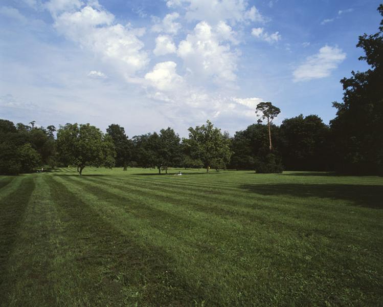 La grande pelouse du parc municipal, à l'arrière de la maison.