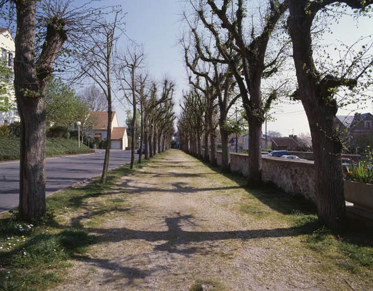Allée de tilleuls située à l'arrière du château, le long de la basse-cour ; elle donne d'un côté sur la rue de l'Ermitage et est parallèle à la rue Frédéric-Chopin.