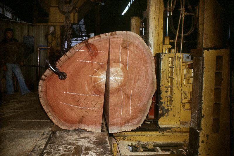 Débit en demi-dosse d'une grume de bois exotique