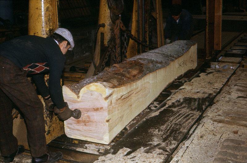 Débit dosse d'une grume de merisier.