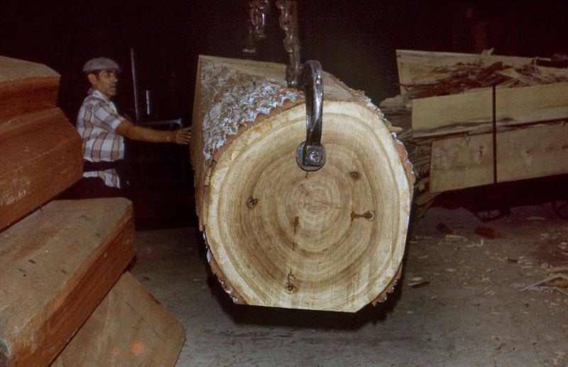 manipulation d'une grume de chène débitée en dosse.