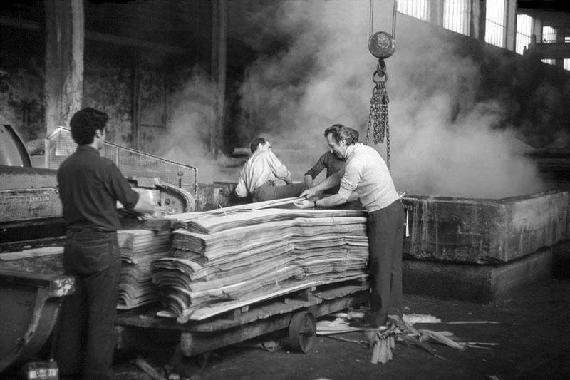 Scierie, usine de bois de placage de la société parisienne de bois tranchés et déroulés