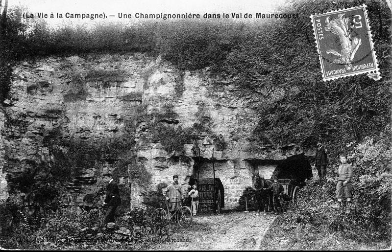 anciennes carrières devenues champignonnières