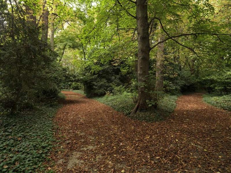 Carrefour entre deux allées dans le parc.