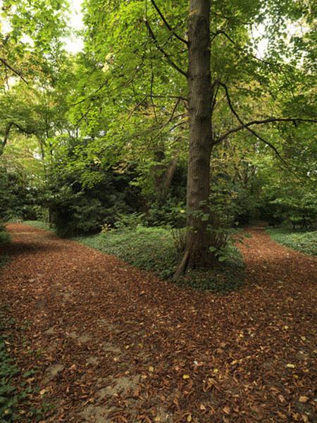 Un carrefour entre deux allées du parc.
