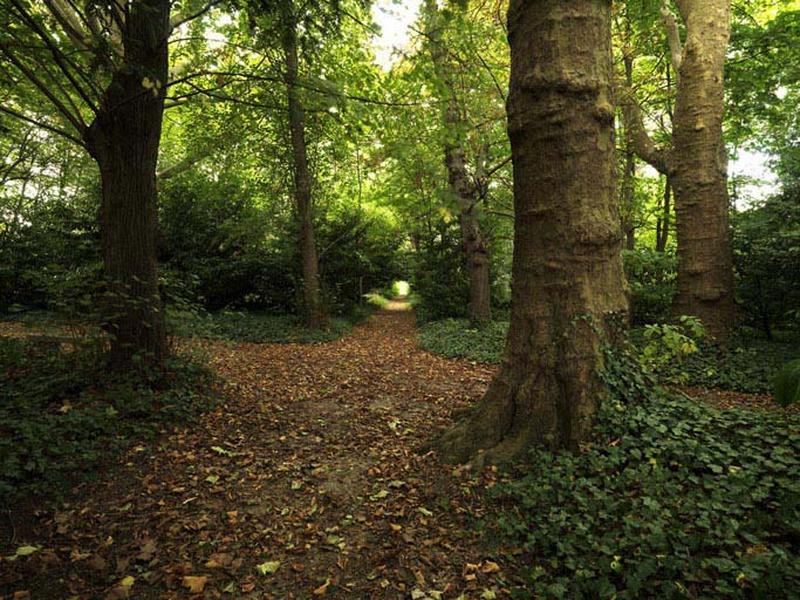 Un croisement entre deux allées du parc.